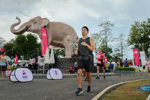 BIB: 
                            <button type="button" onclick="openModal(26528836)" class="btn btn-primary btn-sm float-right btn-popup" data-toggle="modal" data-target=".modal-high-quality">
                        <i class="fas fa-shopping-cart"></i> Add to Cart
                    </button>
                                            <button type="button" onclick="isThisMe(26528836, true)" class="btn btn-success btn-sm float-right btn-popup btn-isme hidden" data-toggle="tooltip" data-placement="bottom" title="นี่คือรูปของคุณใช่ไหม คลิกที่นี่เพื่อเอาเข้าอัลบั้ม">
                        <i class="fas fa-plus"></i> Add to album
                    </button>
                    <button type="button" onclick="isThisMe(26528836, false)" class="btn btn-warning btn-sm float-right btn-popup btn-isnotme hidden">
                        <i class="fas fa-ban"></i> Remove from album
                    </button>